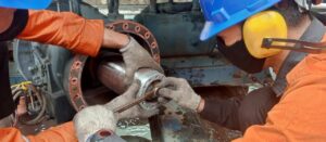 PHOTO 2026 01 12 15 06 52 300x131